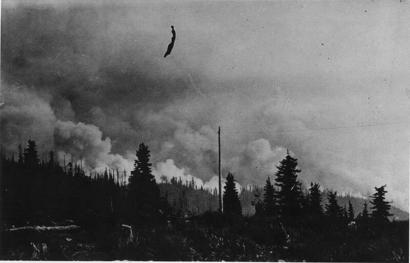 item thumbnail for Forest Fire 1910 - Harlan Ridge