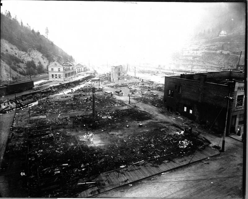 item thumbnail for Forest Fire, 1910 - Wallace [1910] General view