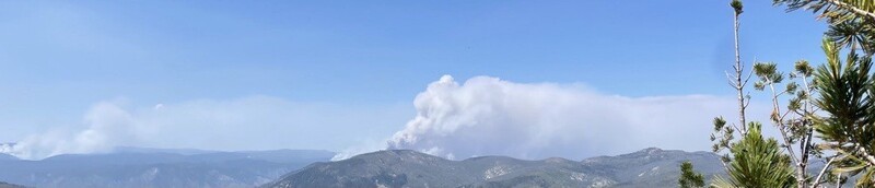 Landscape of Dixie Jumbo Fire