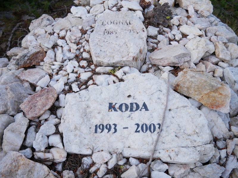 White stones left at War Eagle in rememberance of Mark Schreiter's Great Pyrenees dogs