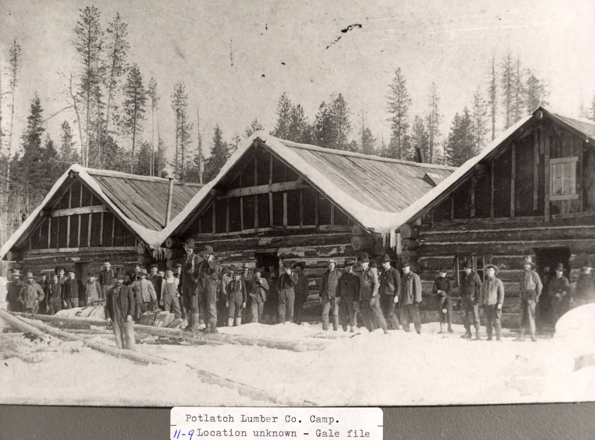 Early Potlatch Lumber Company logging camp