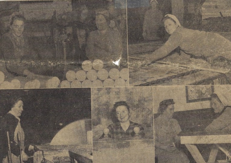 Flunkies and Loggerettes: Women in the White Pine Forest.