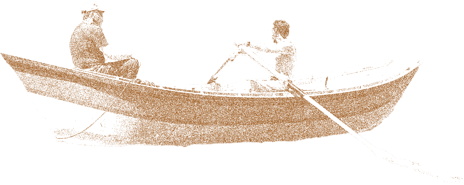 Palimpsests