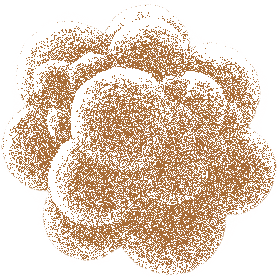 Biota