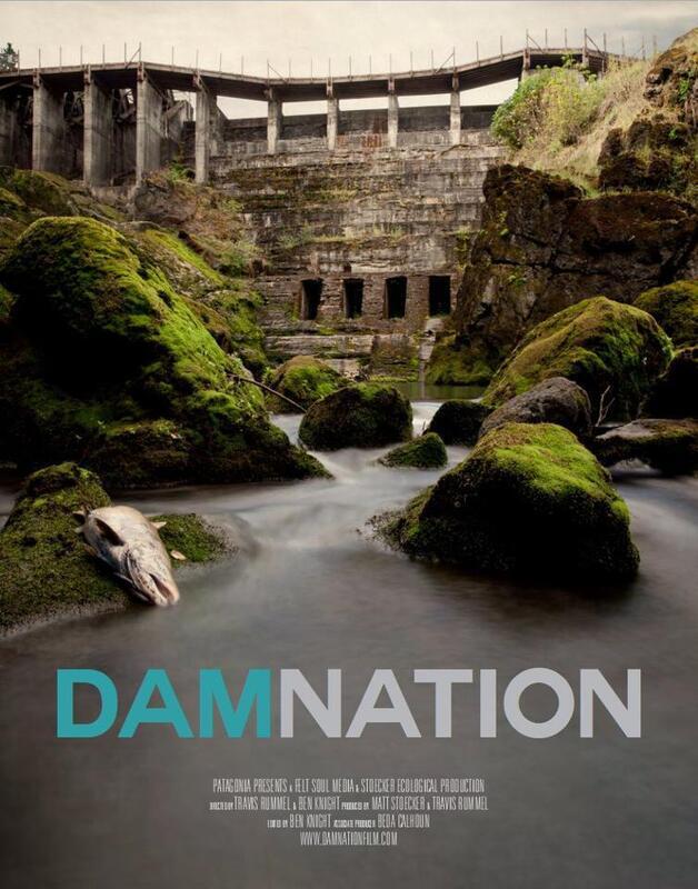 *DamNation: The Problem with Hydropower*