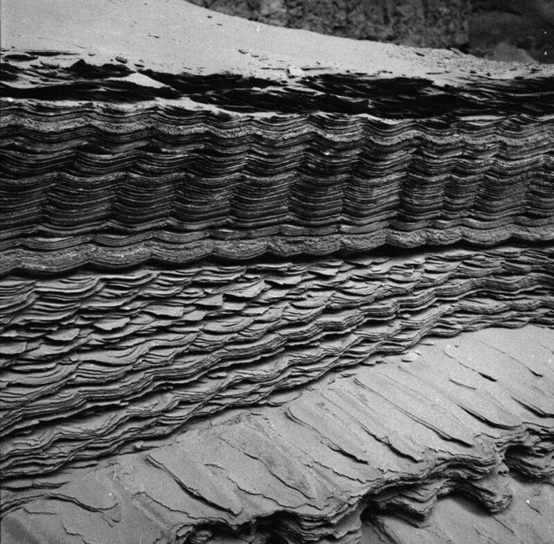 Ripple laminae in Cottonwood Canyon