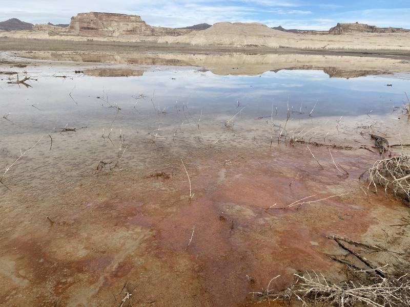 Microbial blooms in a mucky cove at Lone Rock