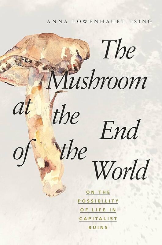 *The Mushroom at the End of the World: On the Possibility of Life in Capitalist Ruins*