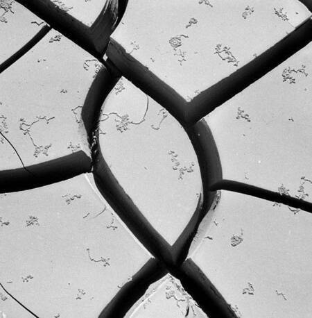 Mud cracks