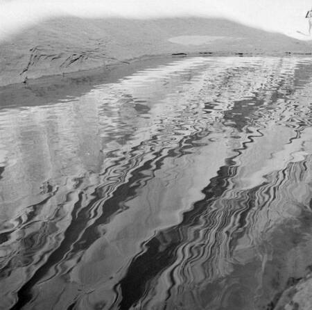 Light and ripples on water