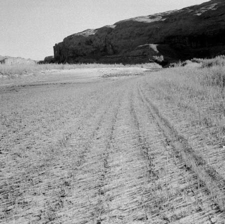 Lines of river levels in stabilized sand