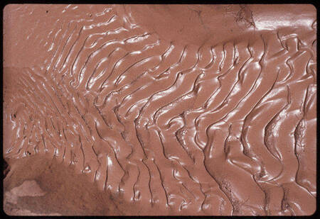 Ripples in mud