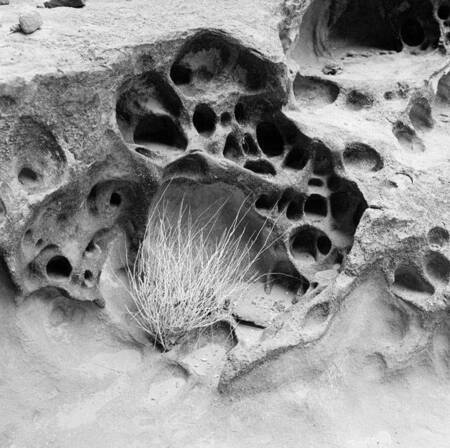 Pocket caves in Driftwood Canyon