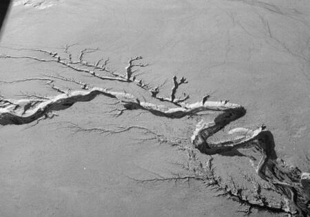 Colorado River