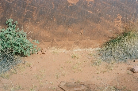 Sheep petroglyphs at Petroglyph Beach