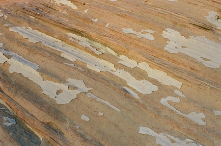 Mineral crusts flaking off after Lake Powell recedes