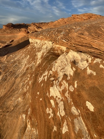 Patches of calcium crust on reemerged rock formations