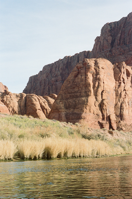 Grassy shores on the Colorado River, below the Glen Canyon Dam