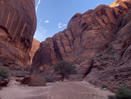 Waterhole Canyon, a tributary of Glen Canyon, below the Glen Canyon Dam