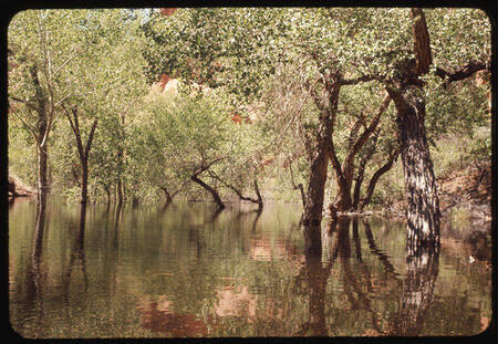 Lake water rising in Forgotten Canyon