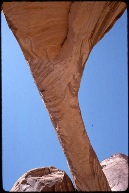 Leg of Rainbow Bridge