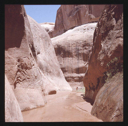 Hikers wading up canyon