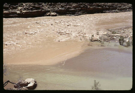 Flooding Little Colorado River