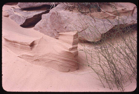 Sculpted sand dunes