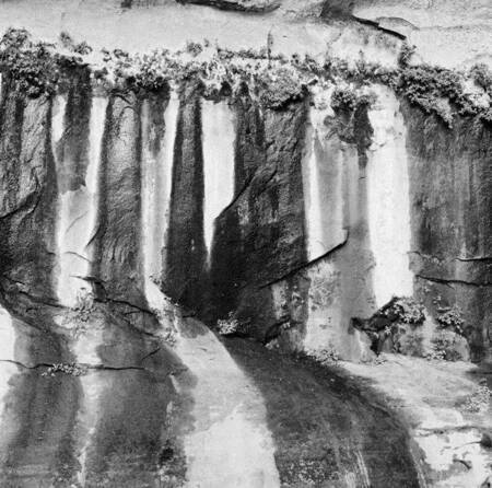 Seep in a canyon wall