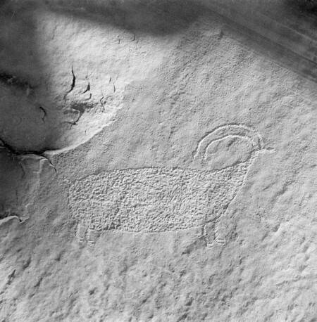 Animal petroglyph at Mystery Canyon