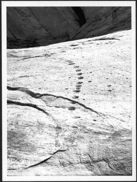 Steps to Inscription House