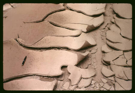 Mud curls