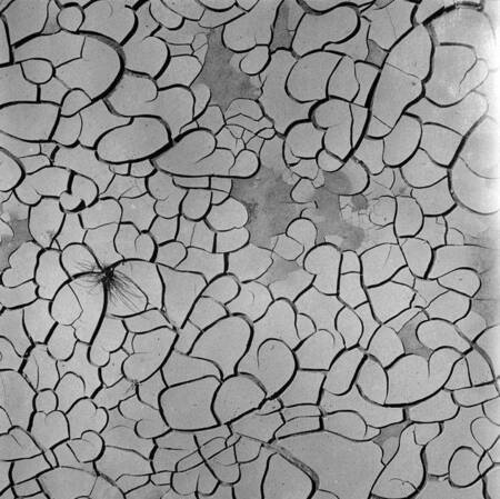 Mud cracks