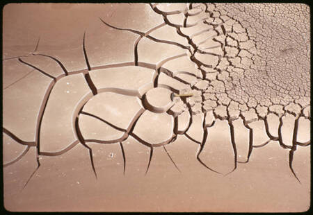 Circular mud cracks