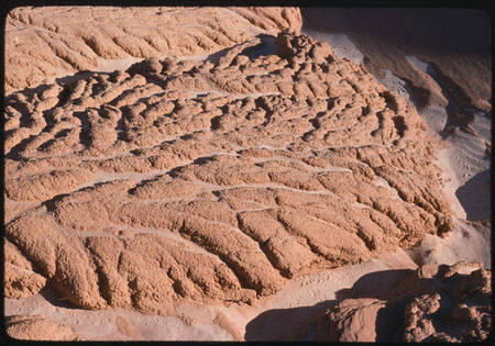 Mud bank erosion