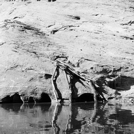 Rising water about to cover Navajo sheep trail