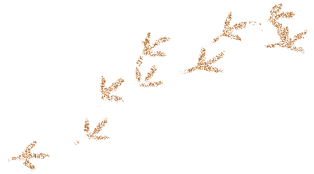 Inscriptions