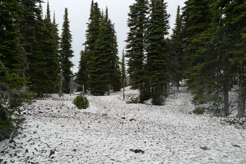 item thumbnail for Caribou Calving Grounds