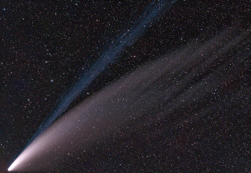 item thumbnail for Comet NEOWISE