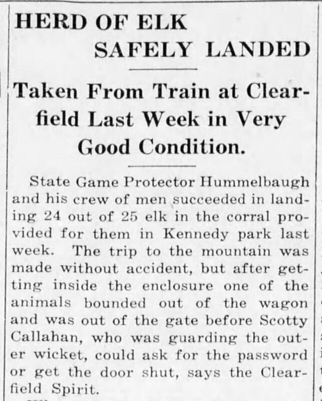 item thumbnail for "Herd of Elk Safely Landed" Brockway Record, Feb 7, 1913