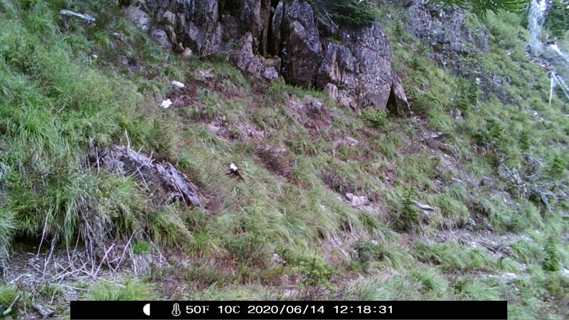 item thumbnail for Camera Assessment