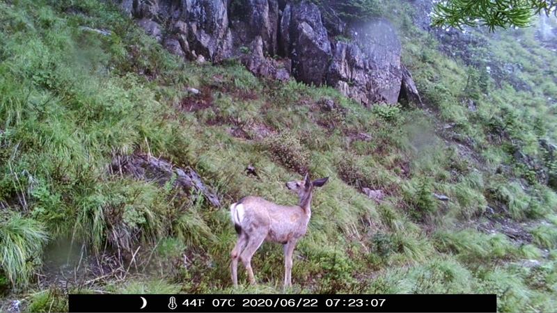 item thumbnail for Looking Uphill 