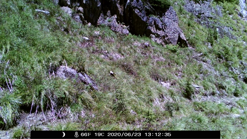 item thumbnail for Blank