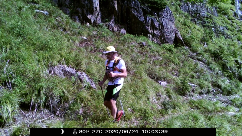 item thumbnail for Traveling Light