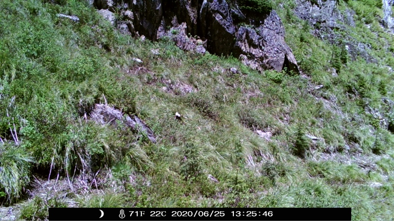 item thumbnail for Blank