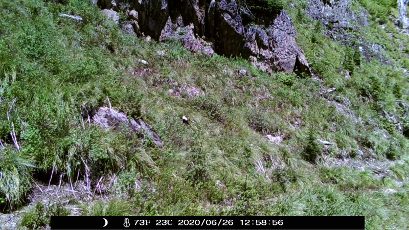 item thumbnail for Day on the Loop