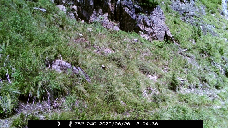 item thumbnail for Day on the Loop