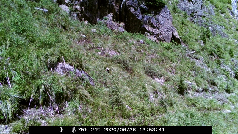 item thumbnail for Day on the Loop