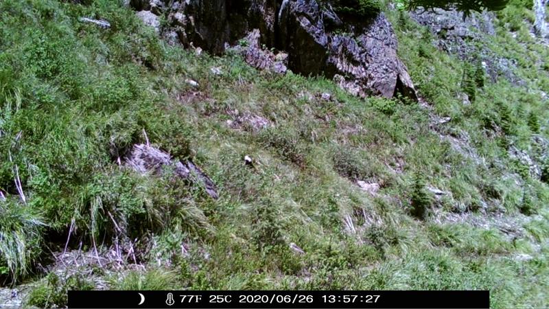 item thumbnail for Day on the Loop