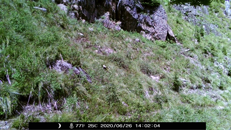 item thumbnail for Day on the Loop